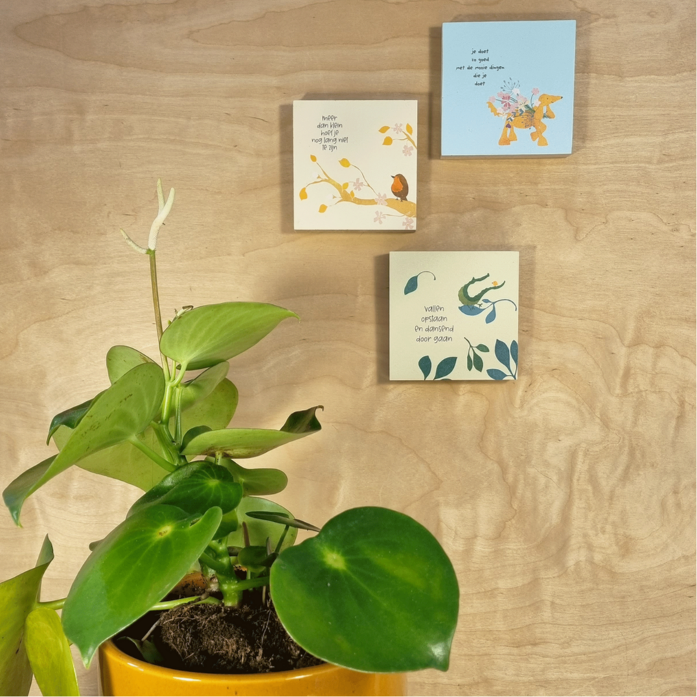 Blokje aan je muur