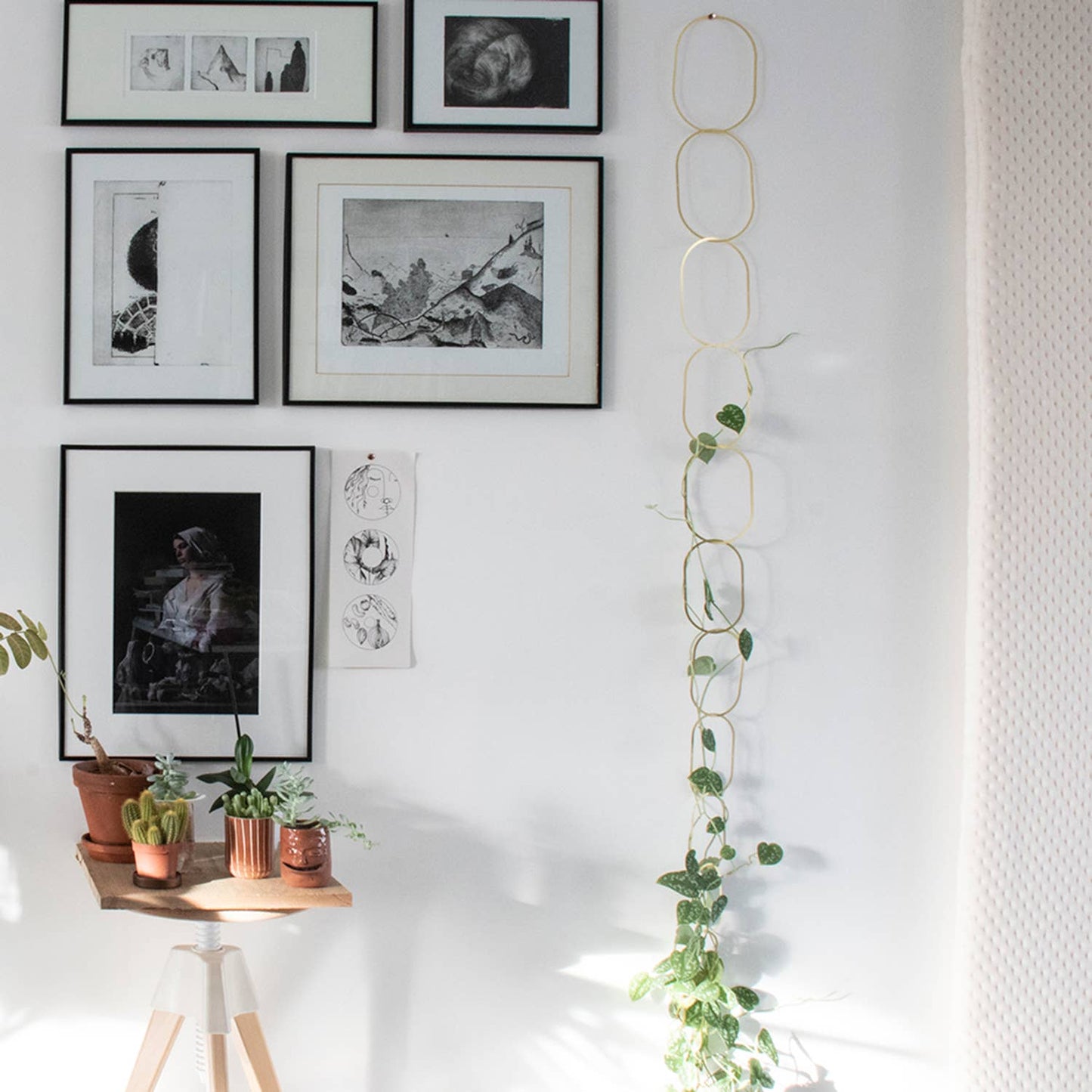 Gouden Messing Ketting – Klimplantensteun