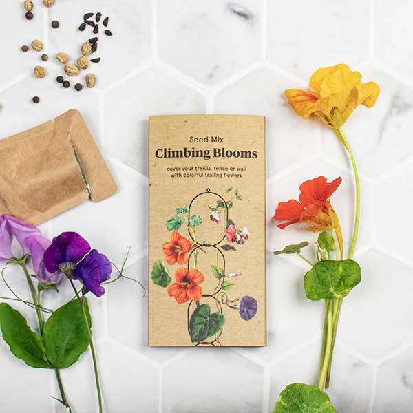 Klim bloemen zaden mix