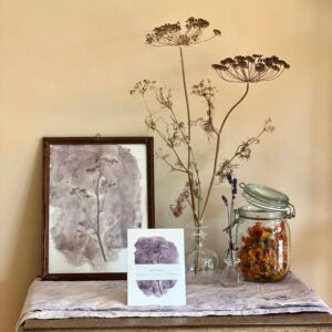 Plant in Print - set van 6 kaarten