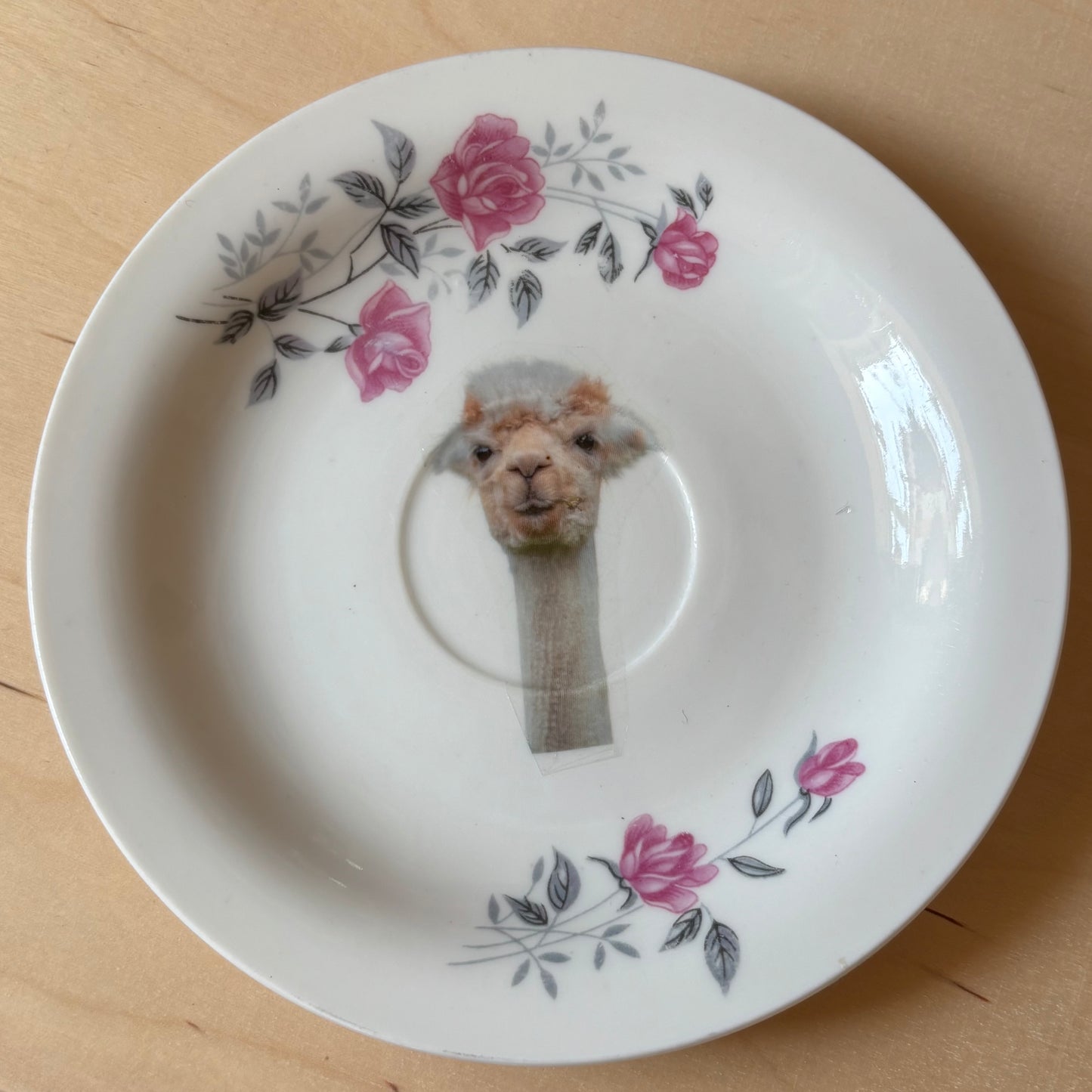 Vintage bordje - Alpaca
