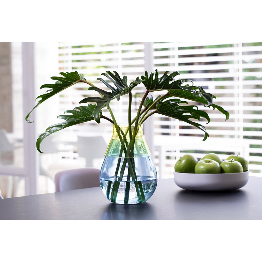 Vaas Twotone - blauw geel