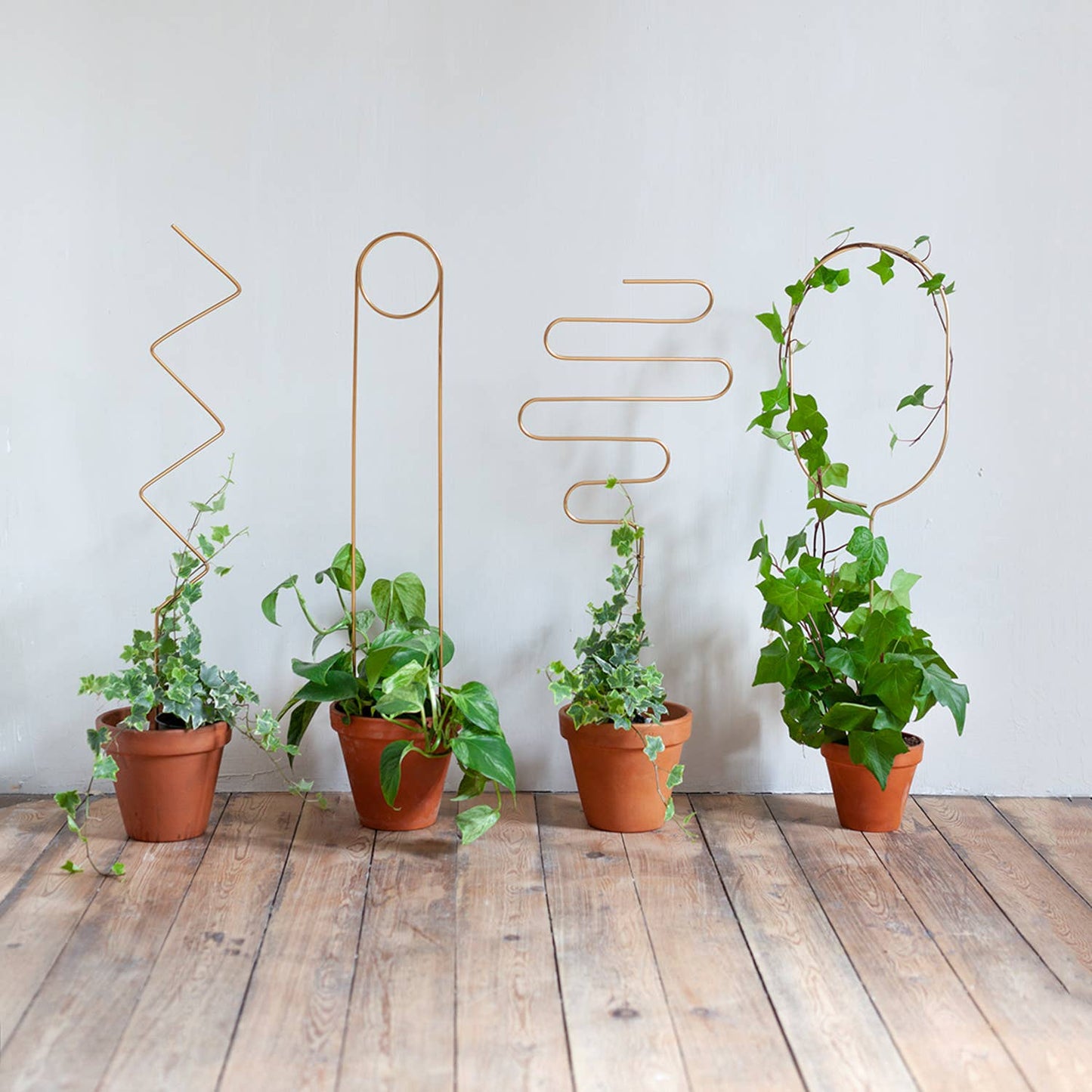 Gouden plantensteun van metaal voor klimplanten – Squiggle