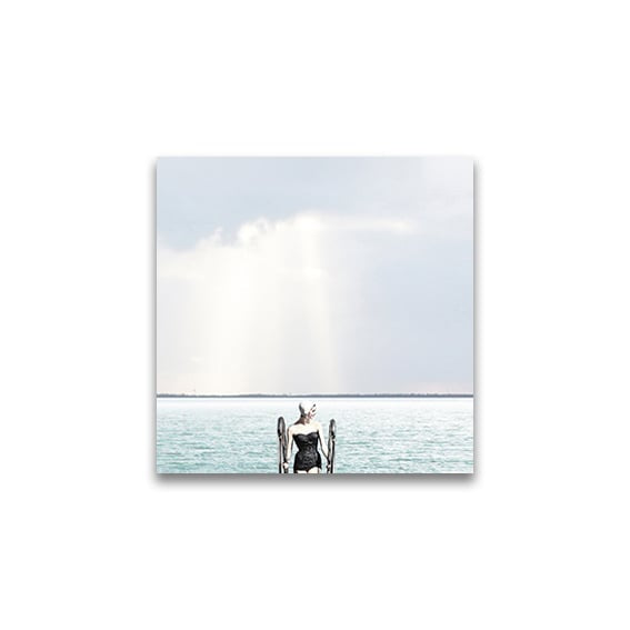 Swimmer