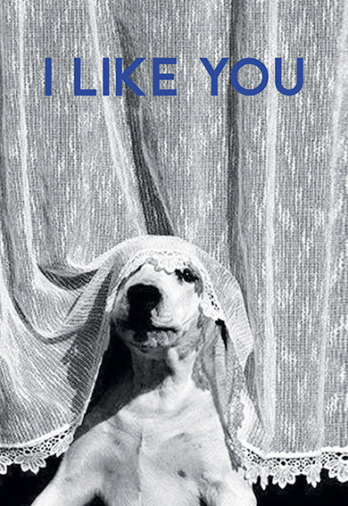 I like you - kaart