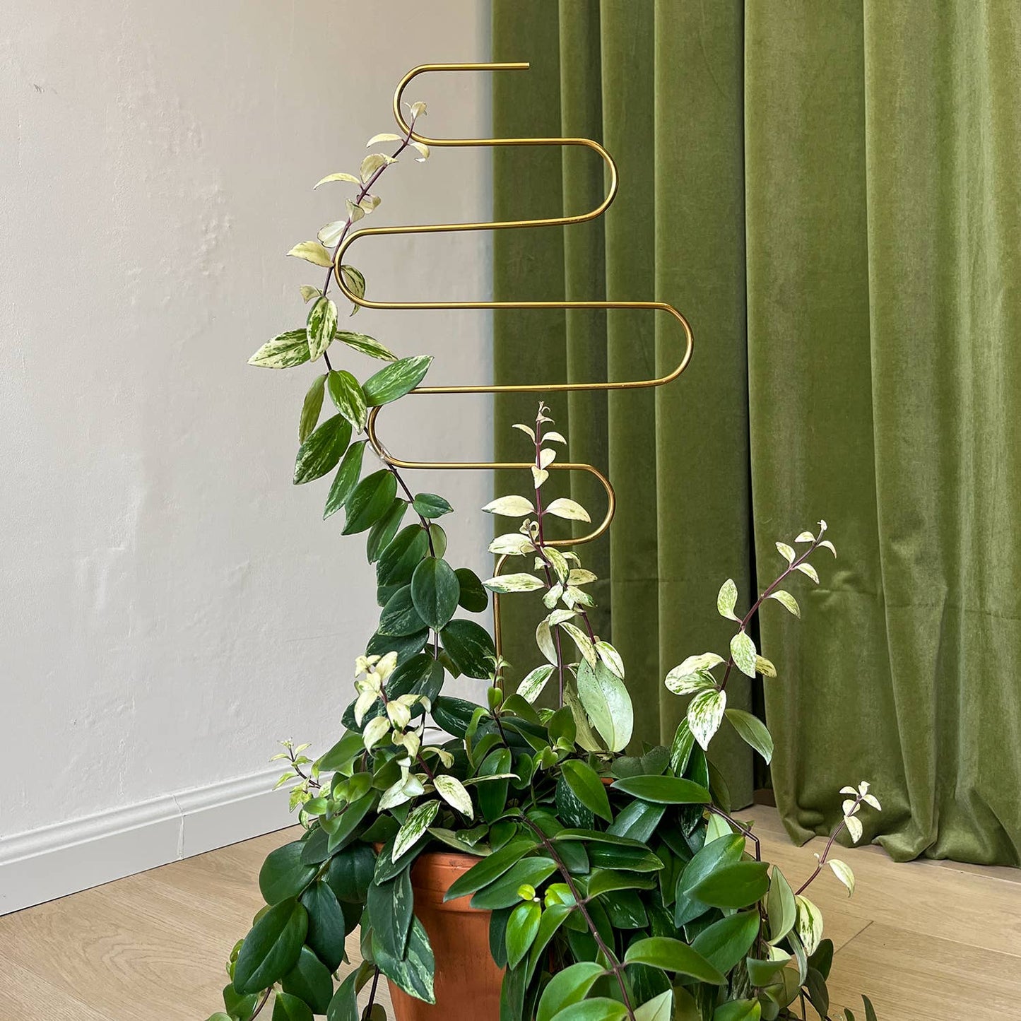 Gouden plantensteun van metaal voor klimplanten – Squiggle