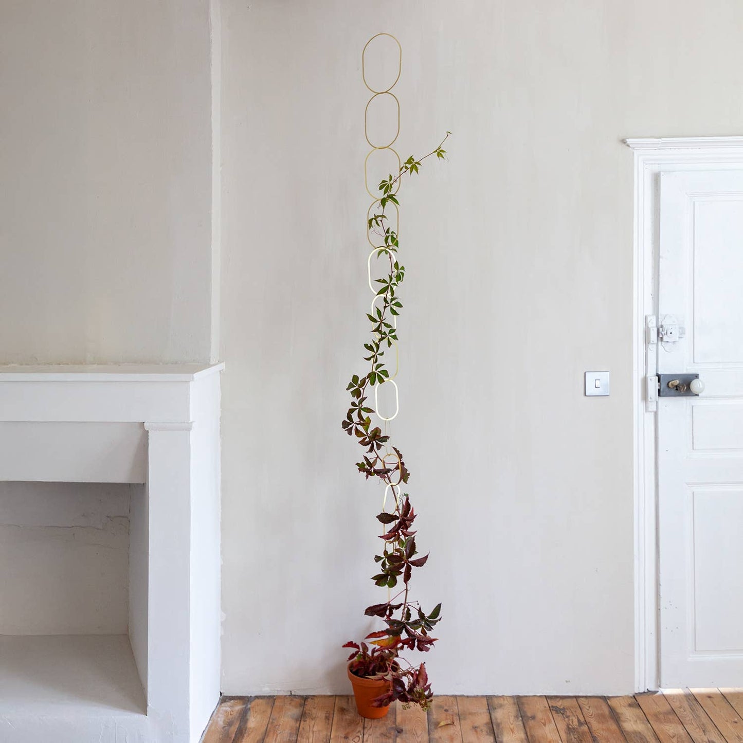 Gouden Messing Ketting – Klimplantensteun