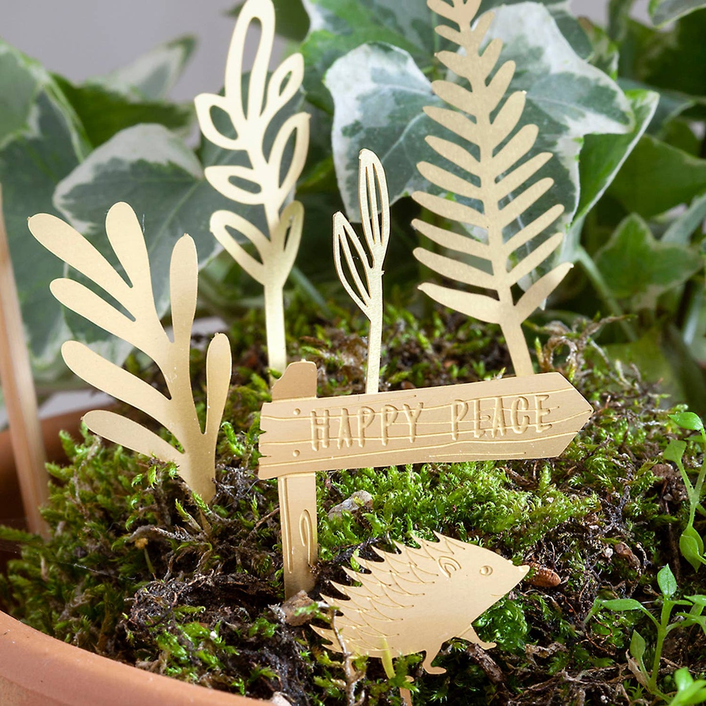 Tiny Bike Adventure – miniatuur fietsavontuur voor je plant