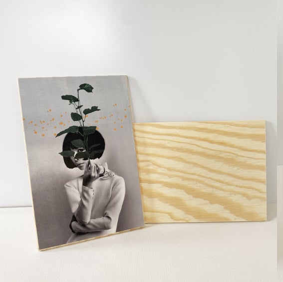 A plant - print op hout