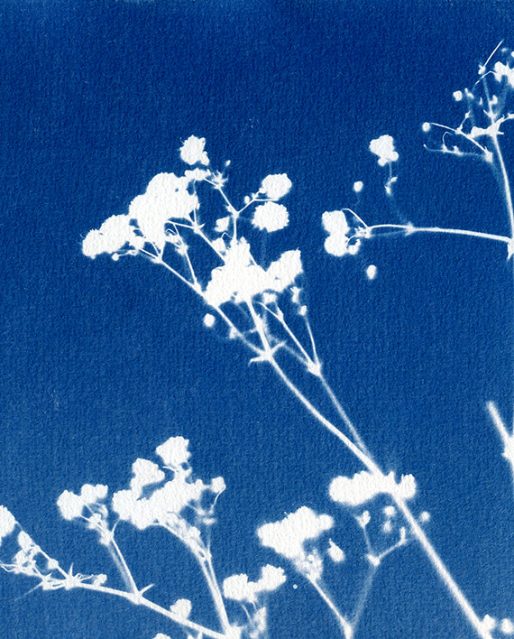 MAXI KIT CYANOTYPE 📸 Magische fotografie!
