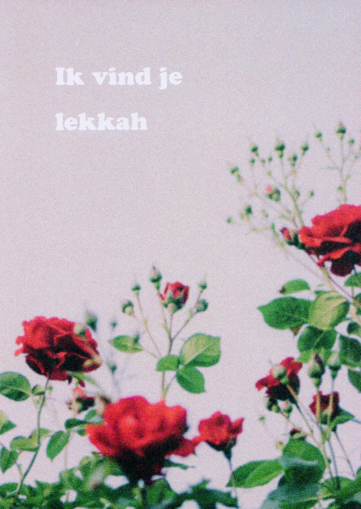 Ik vind je lekkah - kaart