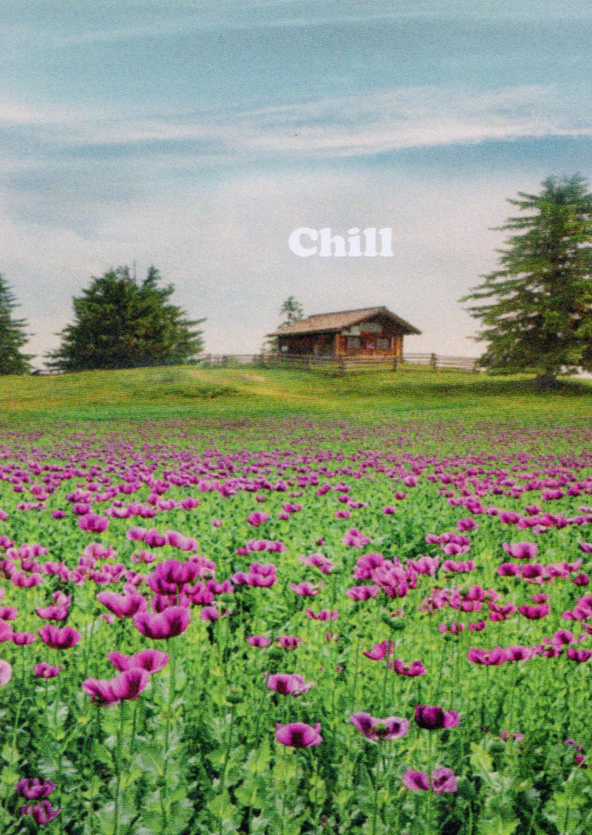 Chill - kaart