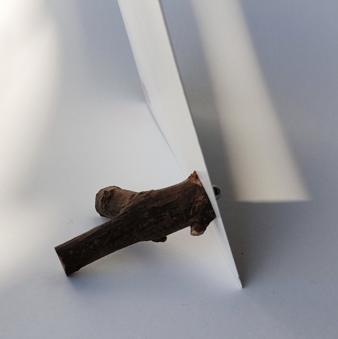 Takkie- Magnetische Foto & Kaarthouder