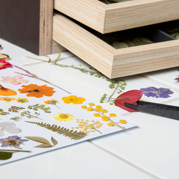 Stickervel met geperste bloemen motief
