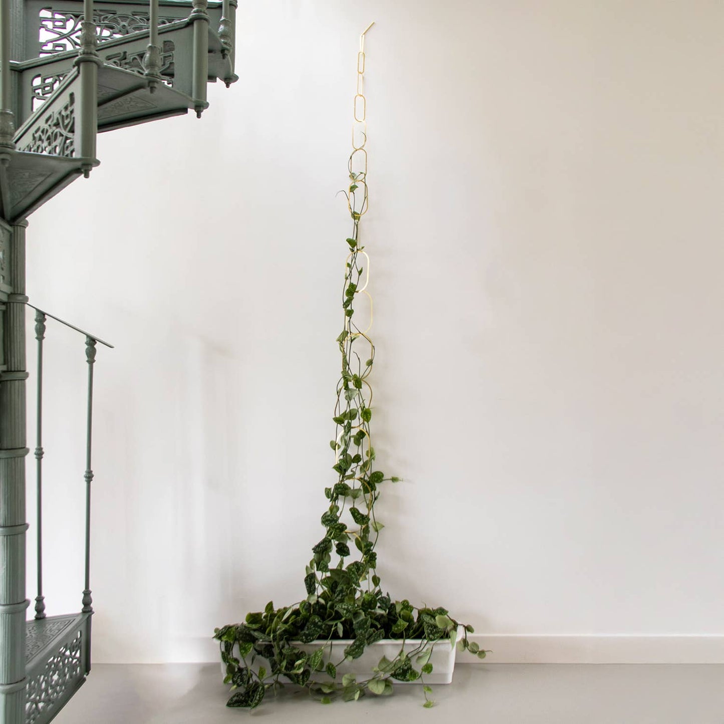 Gouden Messing Ketting – Klimplantensteun
