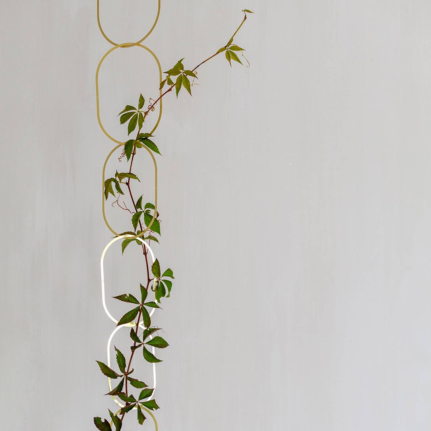 Gouden Messing Ketting – Klimplantensteun