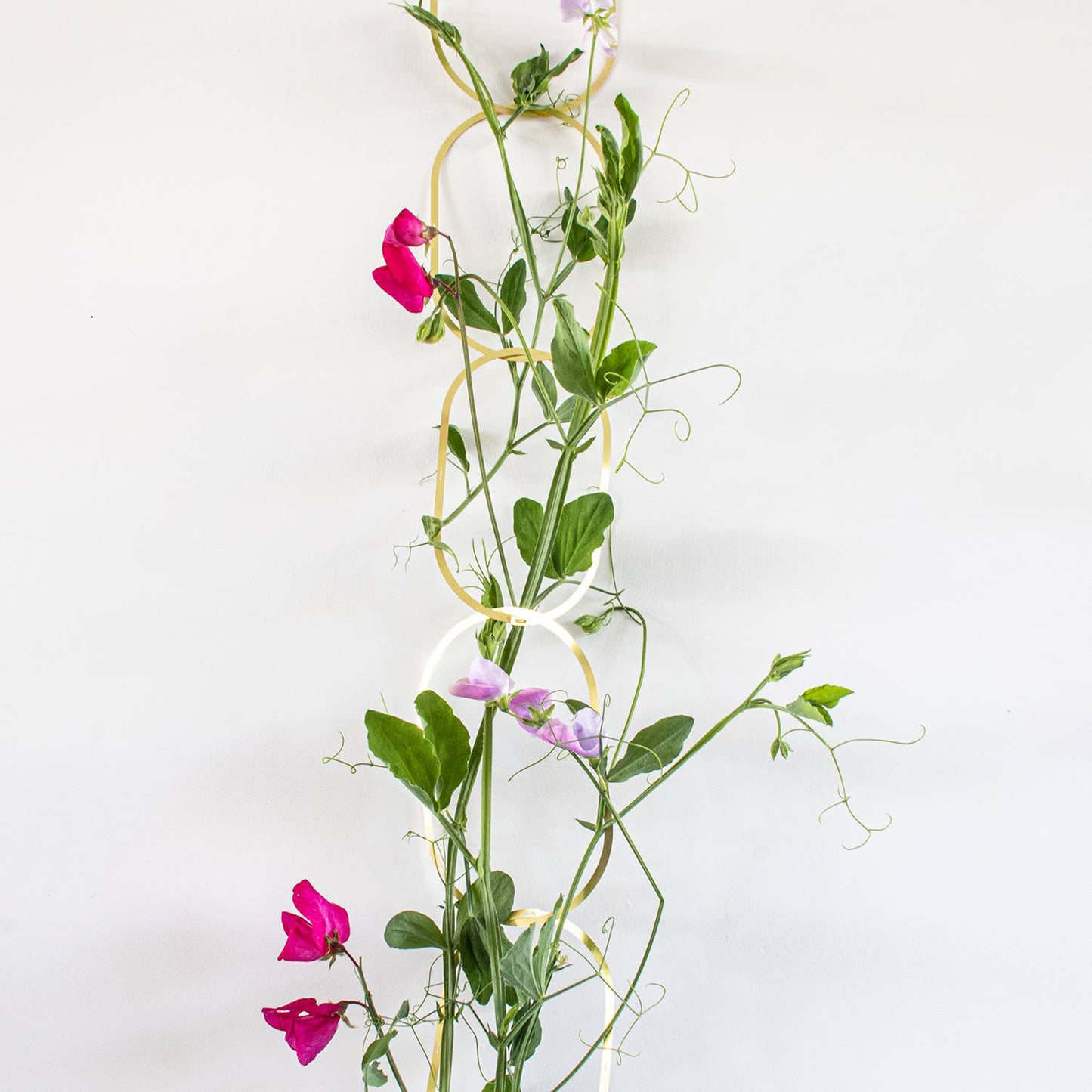 Gouden Messing Ketting – Klimplantensteun