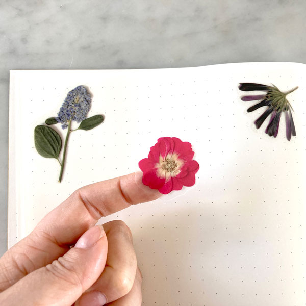 Stickervel met geperste bloemen motief