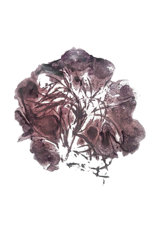 Plant in Print - kaart Heermoes 1
