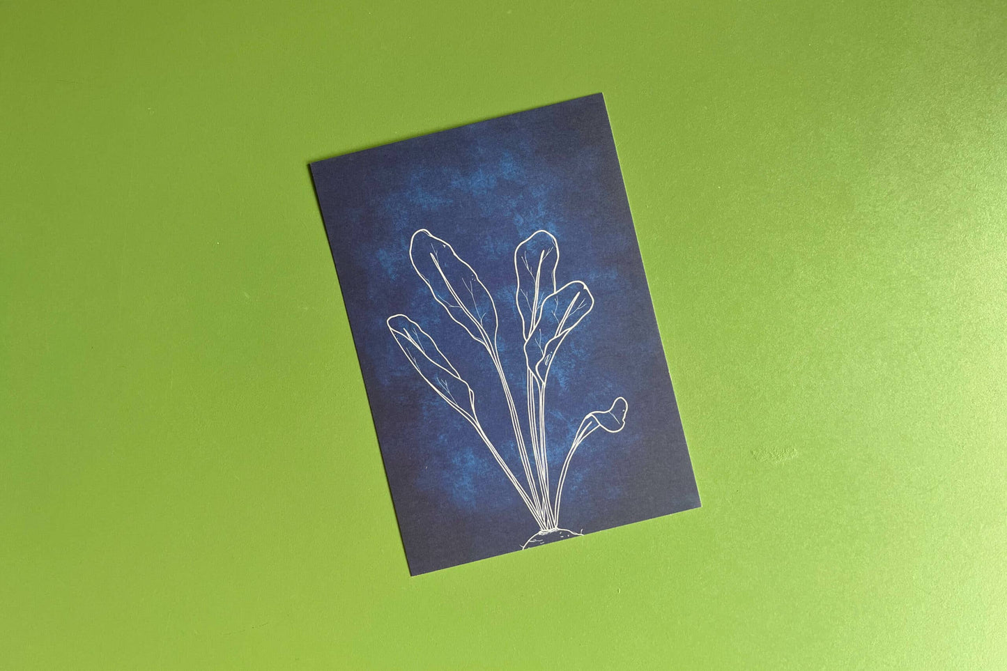 Postkaart | Bietenblad