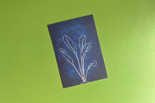 Postkaart | Bietenblad