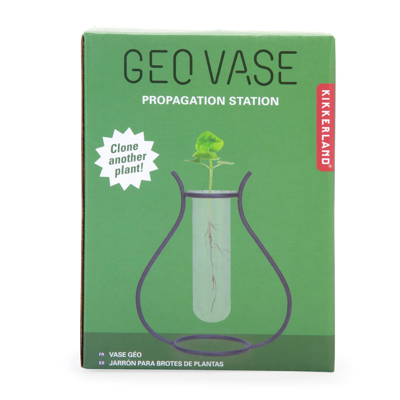 Geo vase - stekvaasje
