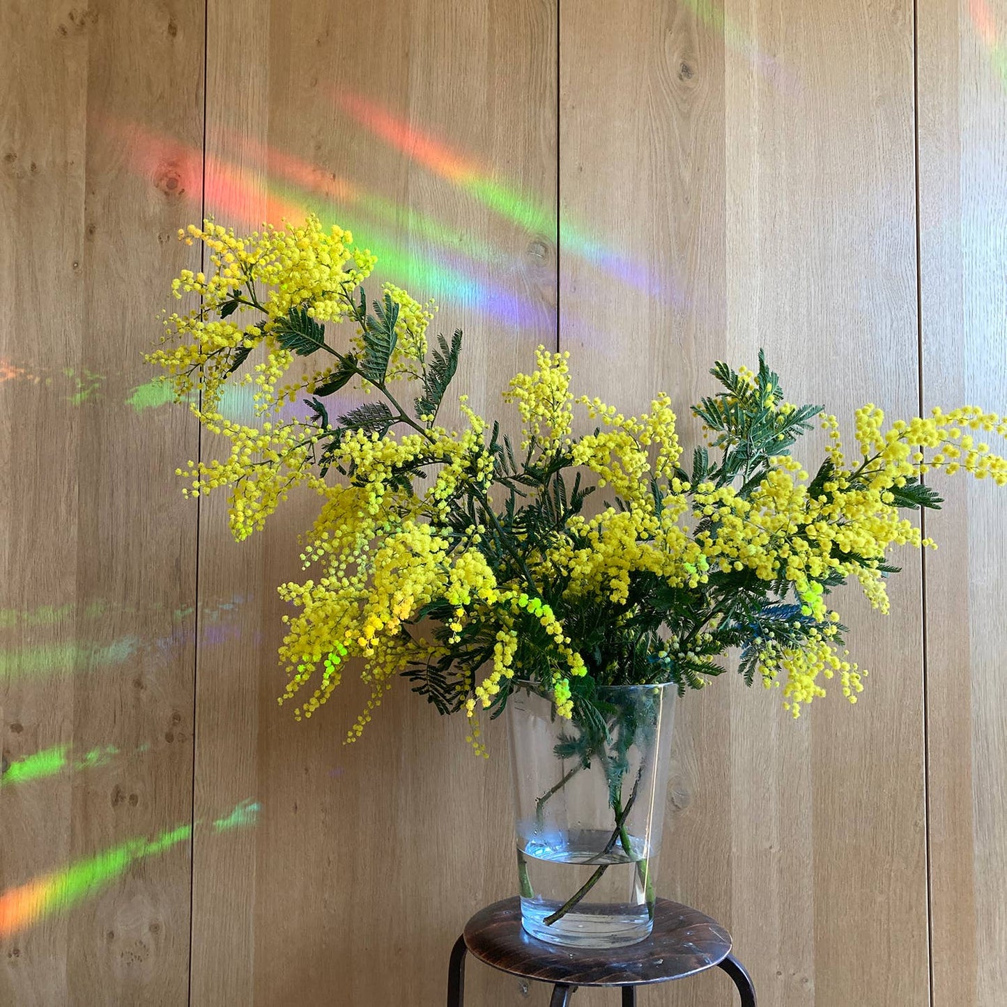 Regenboogmaker Sticker – maak overal regenbogen