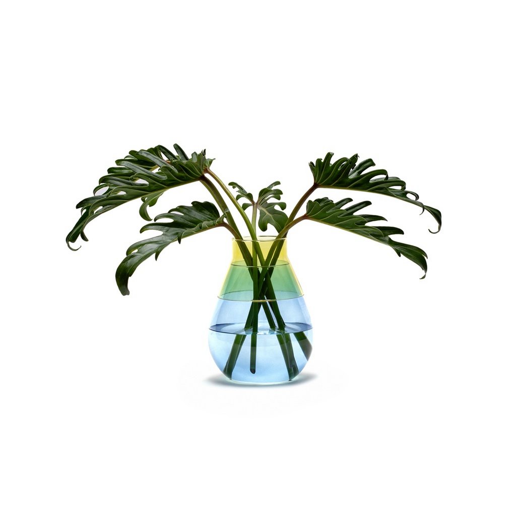 Vaas Twotone - blauw geel