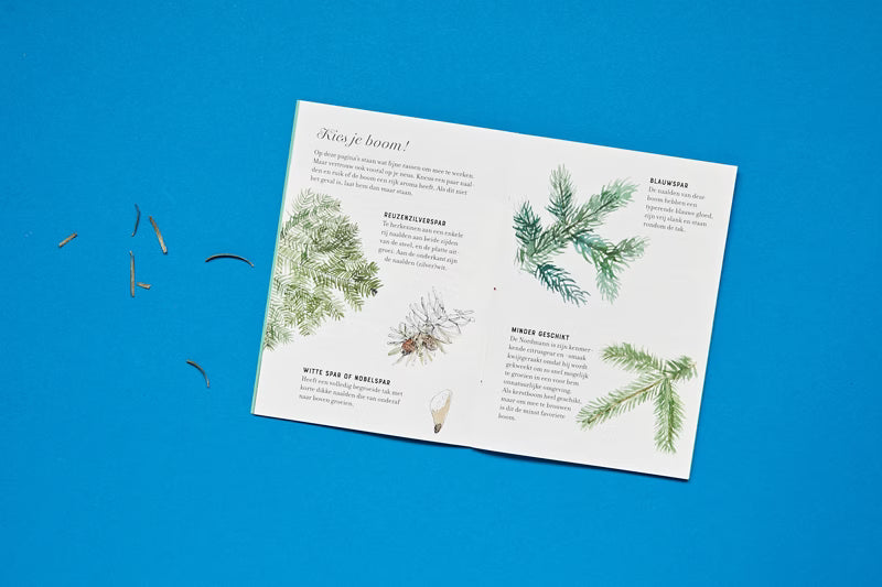 Oh sparrenboom - Kakkerlakje