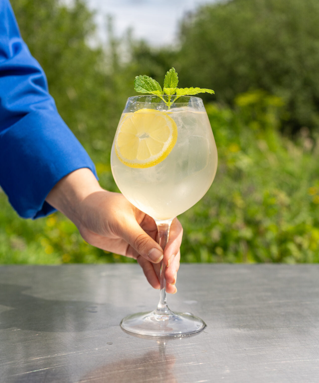 Roze Bunker Foraged Tonic 340ml - Wild Geplukte Tonic siroop