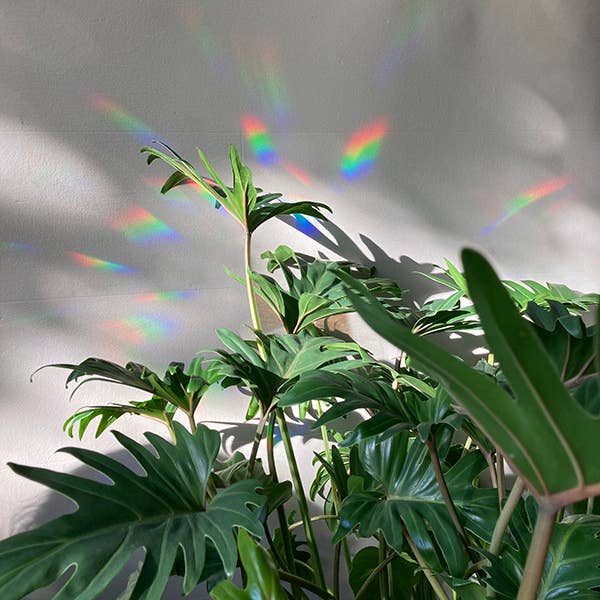 Regenboogmaker Sticker – Vrolijke wolk 🌈