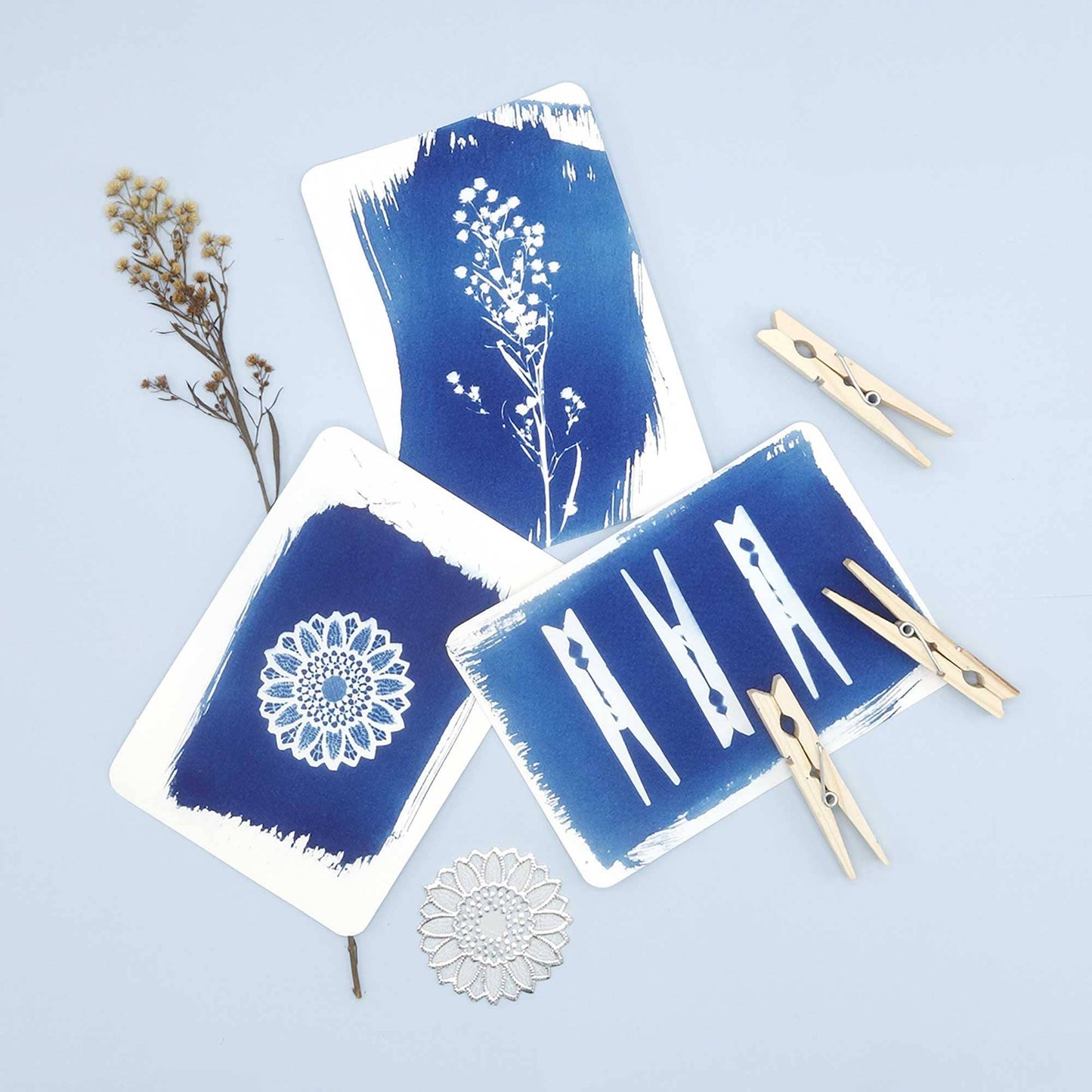 DIY Cyanotype Kit - Postcards