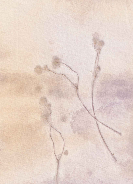 Plant in Print - kaart Boterbloem 1