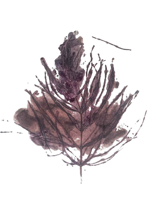 Plant in Print - kaart Heermoes 2