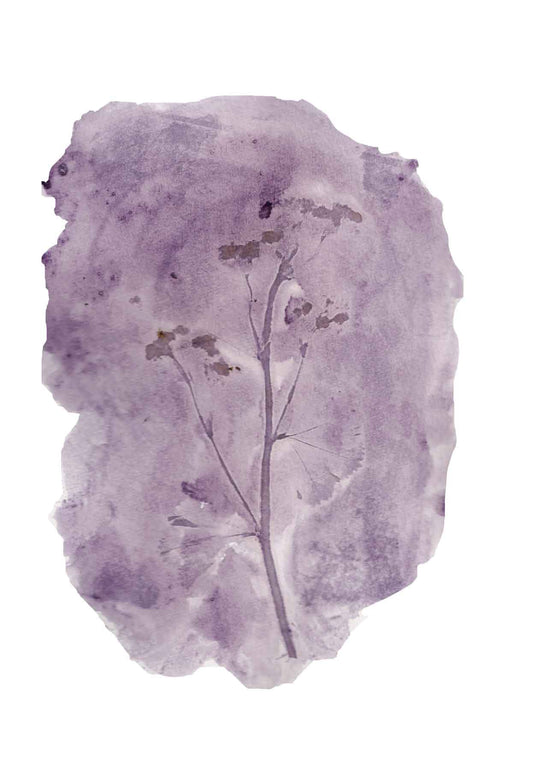 Plant in Print - kaart Vrouwenmantel 2