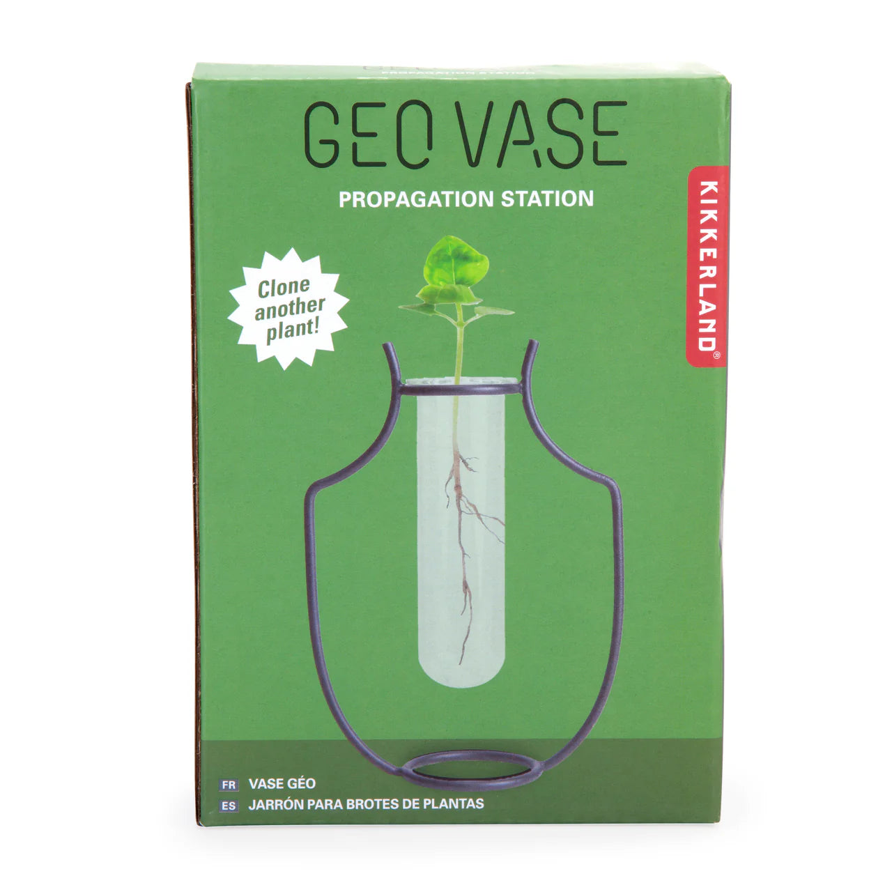 Geo vase - stekvaasje