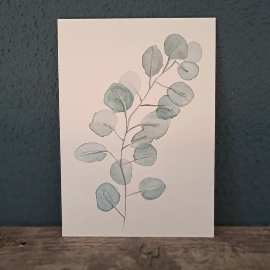 Kaart - Eucalyptus