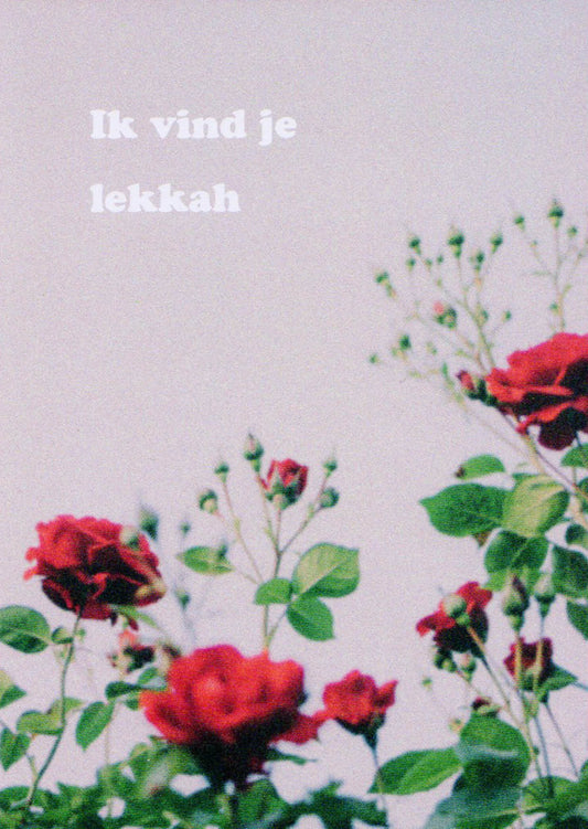 Ik vind je lekkah - kaart
