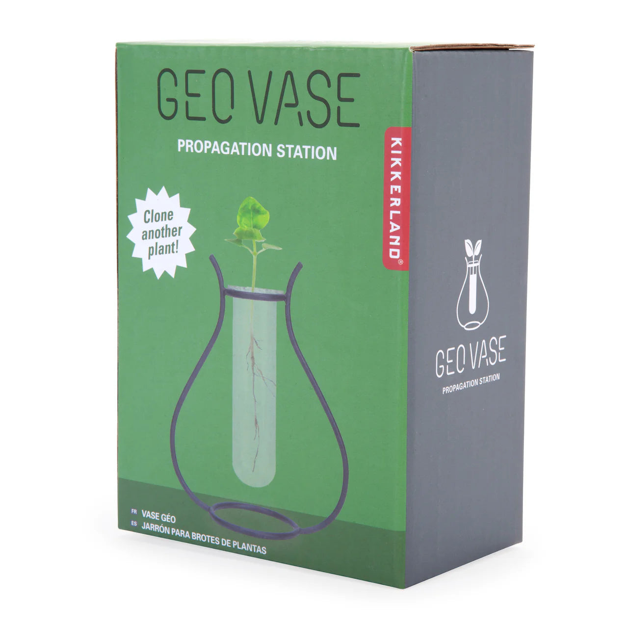 Geo vase - stekvaasje