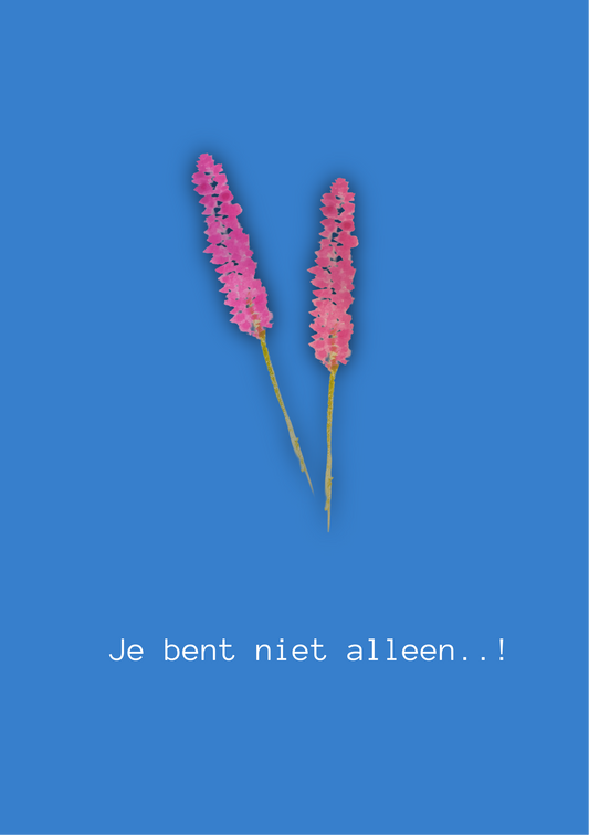 Kaart - Niet alleen