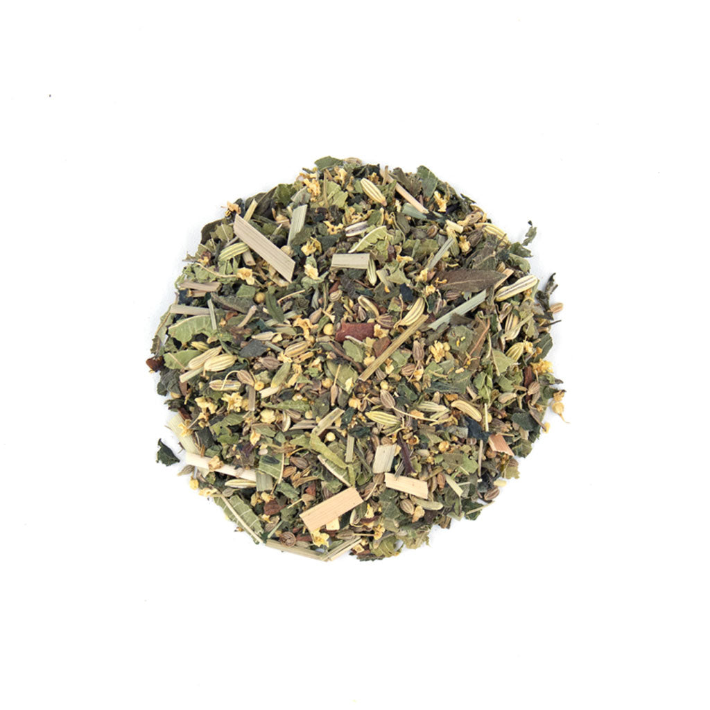 Tea Rex – Kruidenmix voor oerkracht