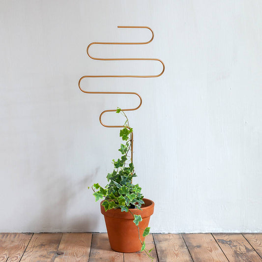 Gouden plantensteun van metaal voor klimplanten – Squiggle