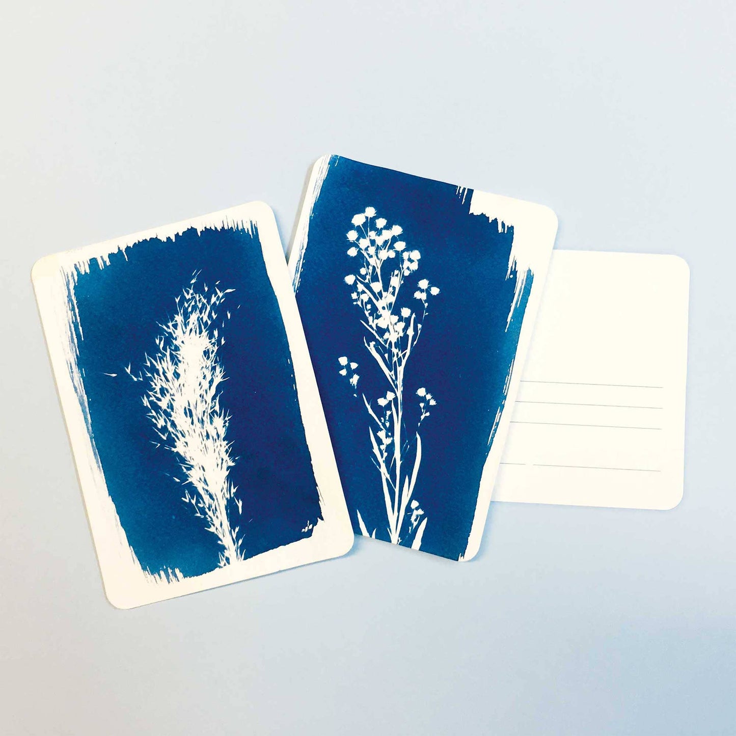 DIY Cyanotype Kit - Postcards