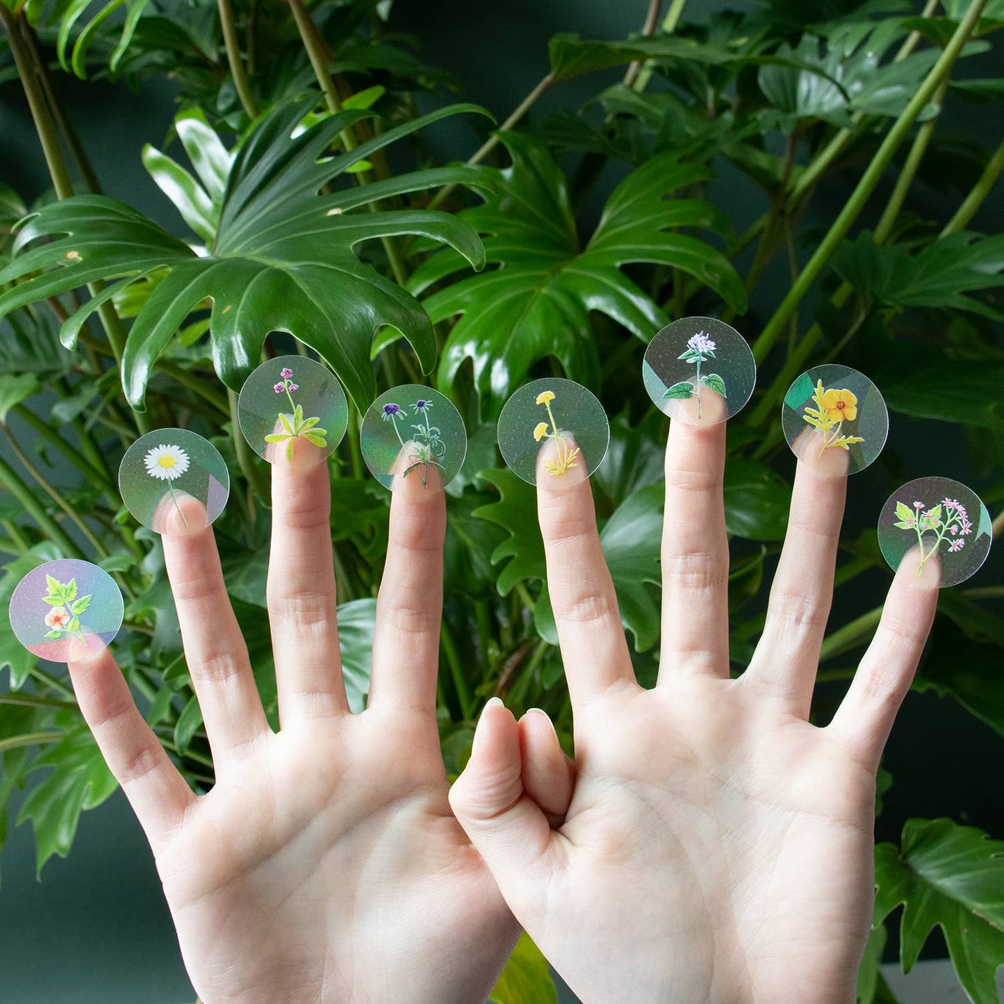 Regenboogmaker Sticker – maak overal regenbogen