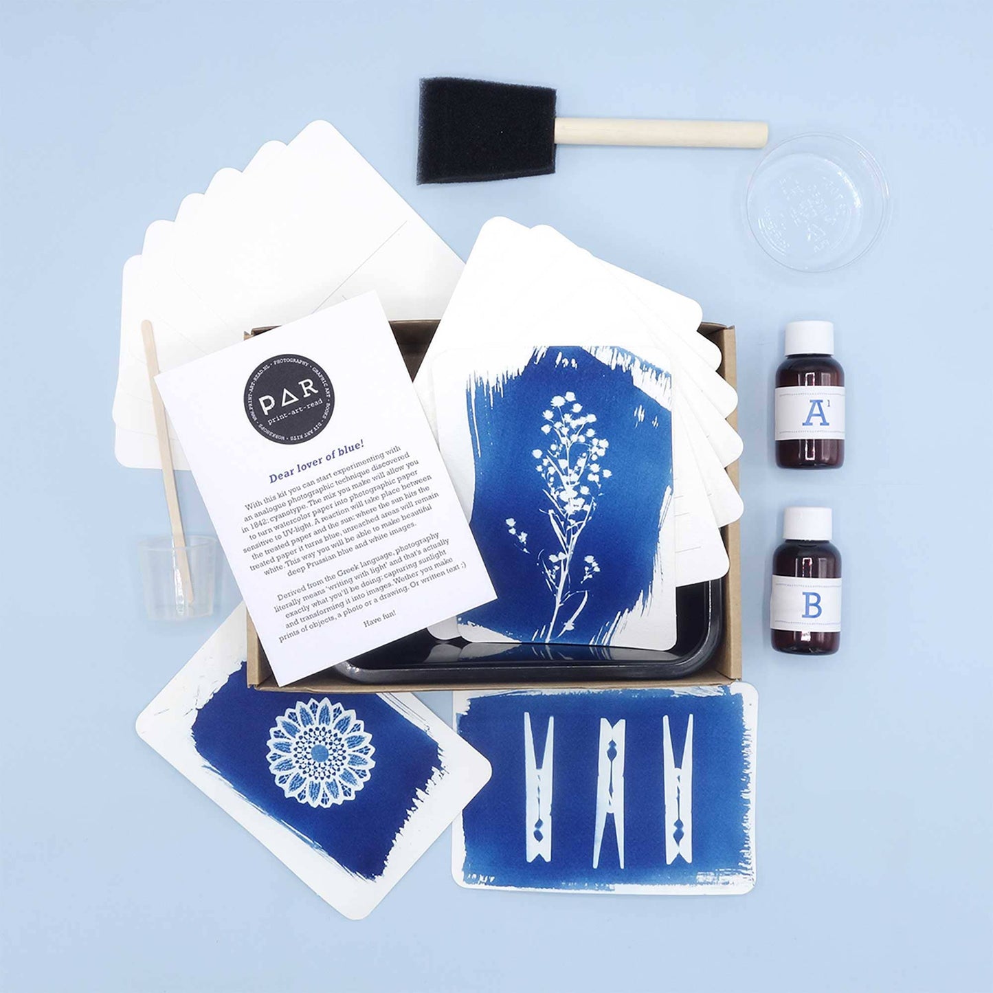 DIY Cyanotype Kit - Postcards